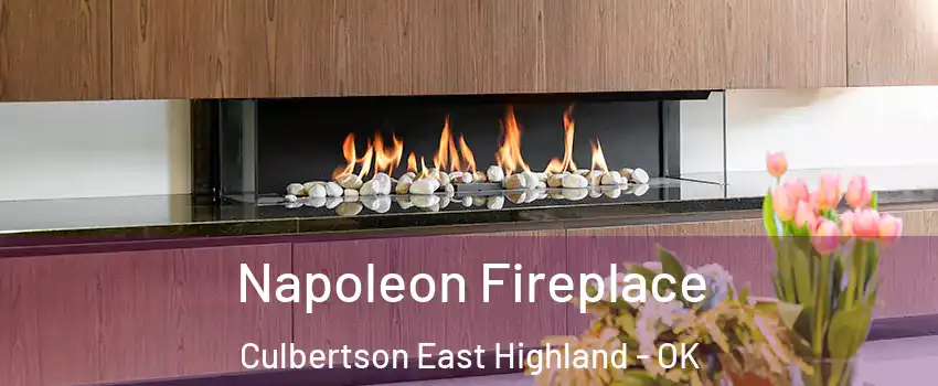Napoleon Fireplace Culbertson East Highland - OK