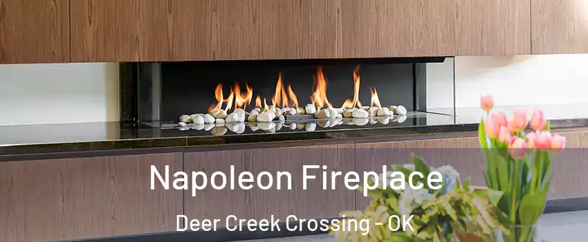 Napoleon Fireplace Deer Creek Crossing - OK