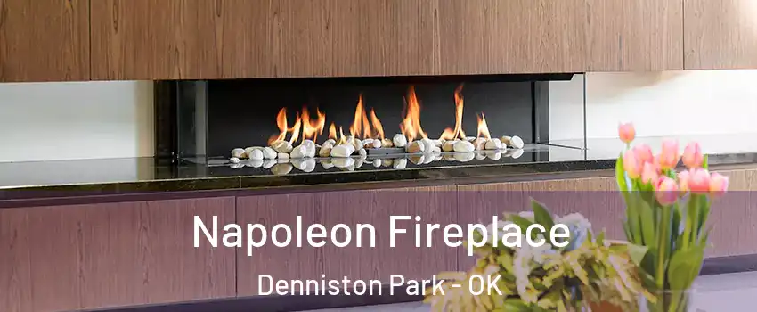 Napoleon Fireplace Denniston Park - OK