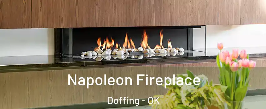 Napoleon Fireplace Doffing - OK