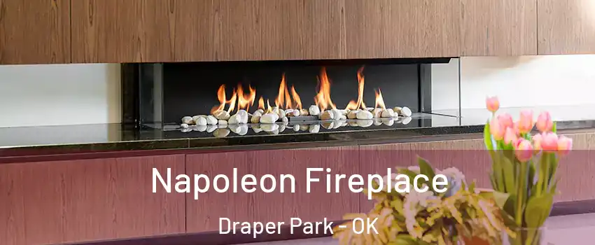 Napoleon Fireplace Draper Park - OK