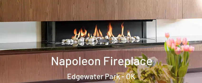 Napoleon Fireplace Edgewater Park - OK