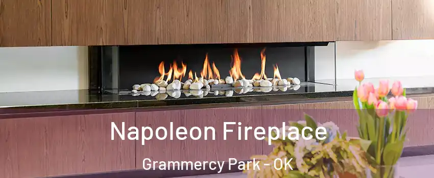 Napoleon Fireplace Grammercy Park - OK