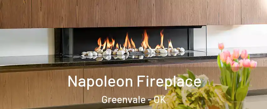 Napoleon Fireplace Greenvale - OK