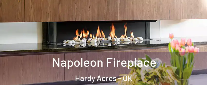 Napoleon Fireplace Hardy Acres - OK