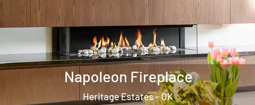 Napoleon Fireplace Heritage Estates - OK