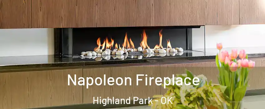 Napoleon Fireplace Highland Park - OK