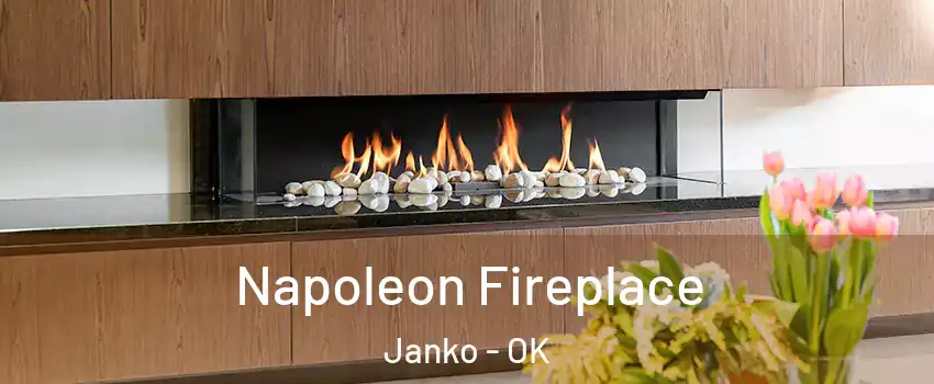 Napoleon Fireplace Janko - OK