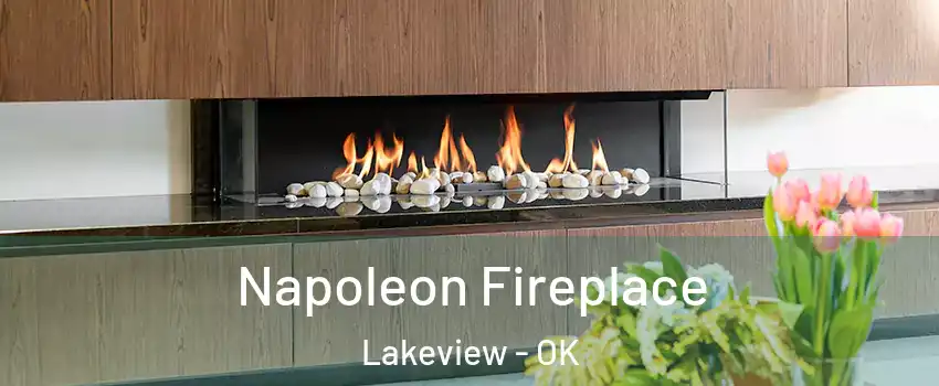 Napoleon Fireplace Lakeview - OK