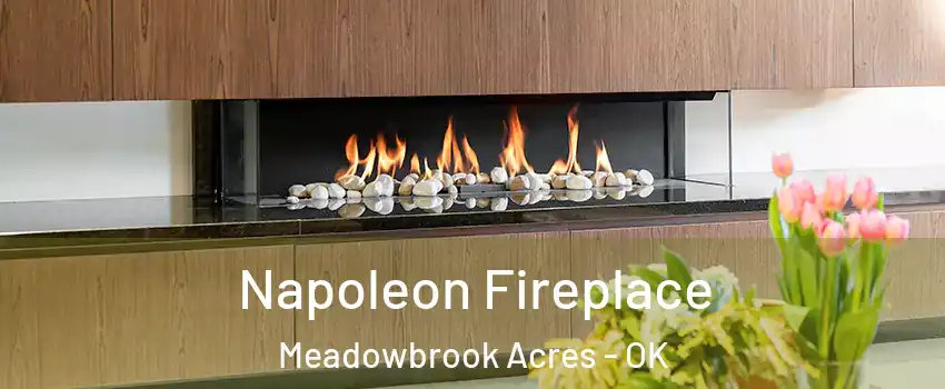 Napoleon Fireplace Meadowbrook Acres - OK