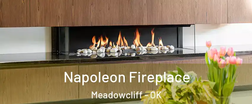 Napoleon Fireplace Meadowcliff - OK