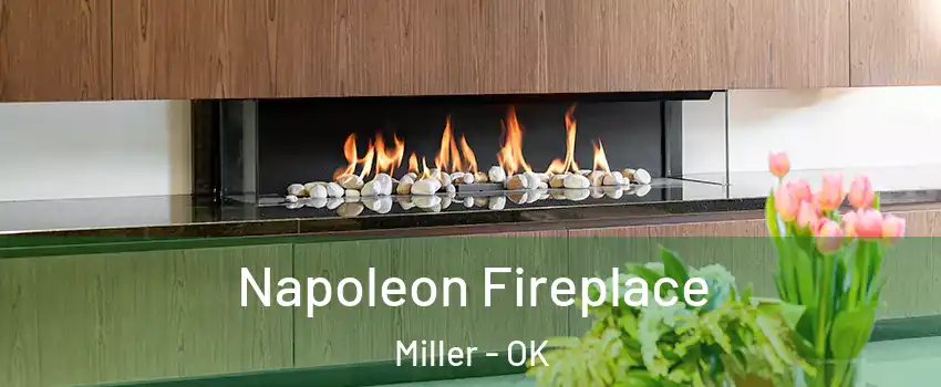 Napoleon Fireplace Miller - OK