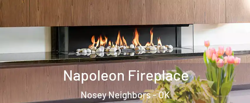 Napoleon Fireplace Nosey Neighbors - OK