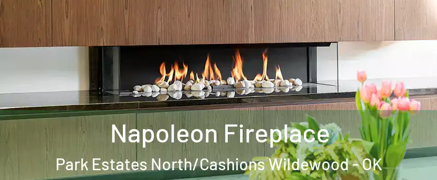 Napoleon Fireplace Park Estates North/Cashions Wildewood - OK