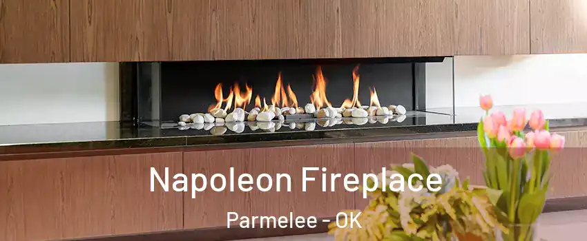 Napoleon Fireplace Parmelee - OK