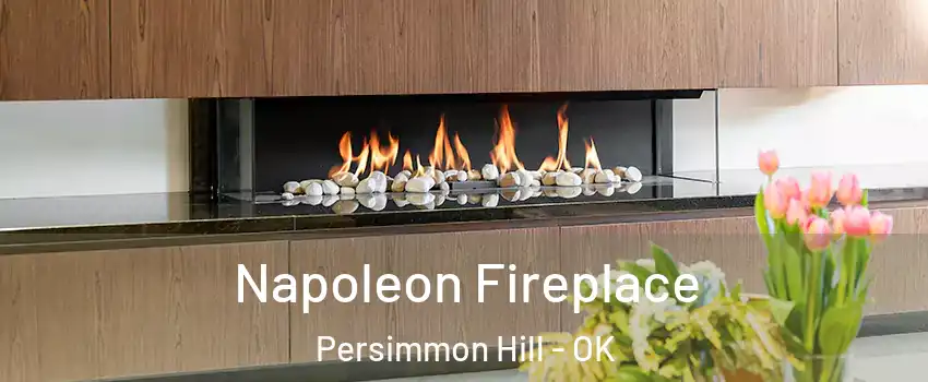 Napoleon Fireplace Persimmon Hill - OK