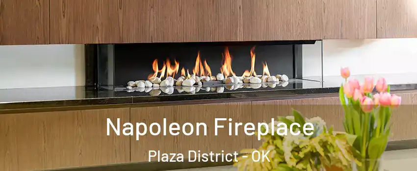 Napoleon Fireplace Plaza District - OK