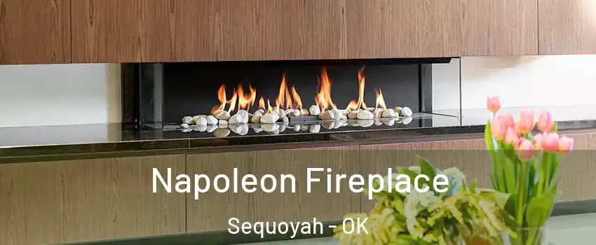 Napoleon Fireplace Sequoyah - OK