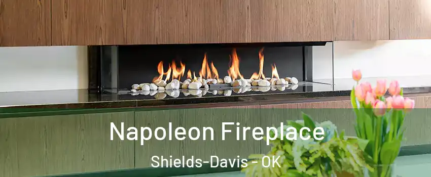 Napoleon Fireplace Shields-Davis - OK