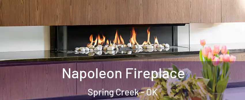 Napoleon Fireplace Spring Creek - OK