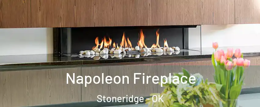 Napoleon Fireplace Stoneridge - OK
