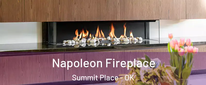Napoleon Fireplace Summit Place - OK