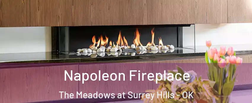 Napoleon Fireplace The Meadows at Surrey Hills - OK
