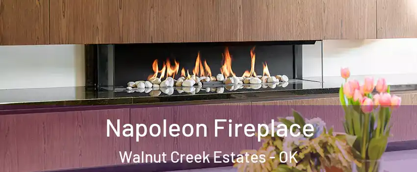 Napoleon Fireplace Walnut Creek Estates - OK