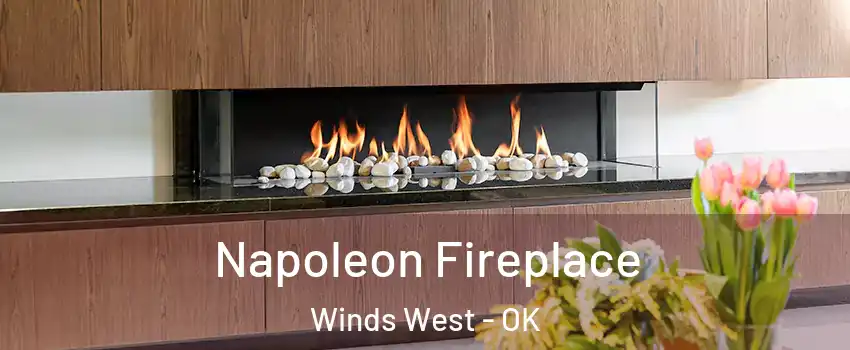 Napoleon Fireplace Winds West - OK