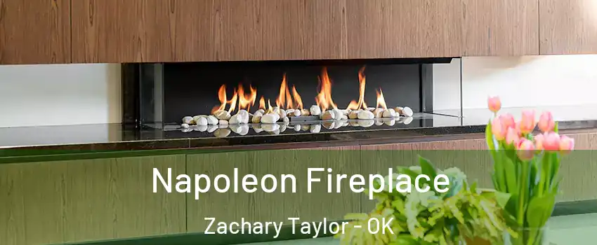 Napoleon Fireplace Zachary Taylor - OK