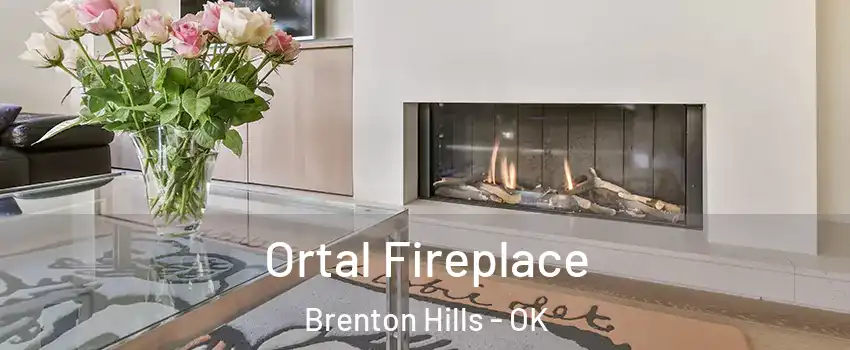 Ortal Fireplace Brenton Hills - OK