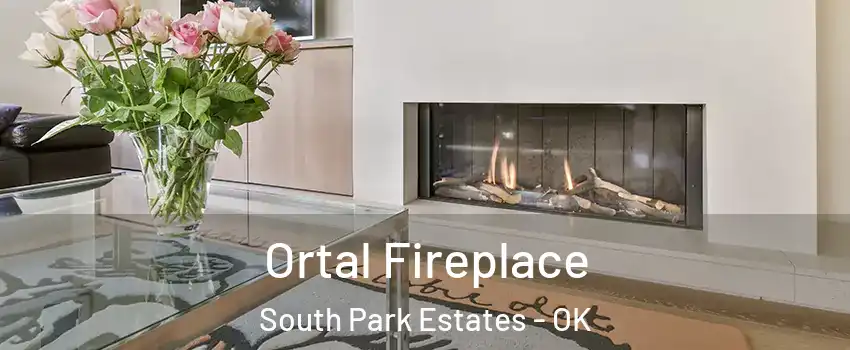 Ortal Fireplace South Park Estates - OK