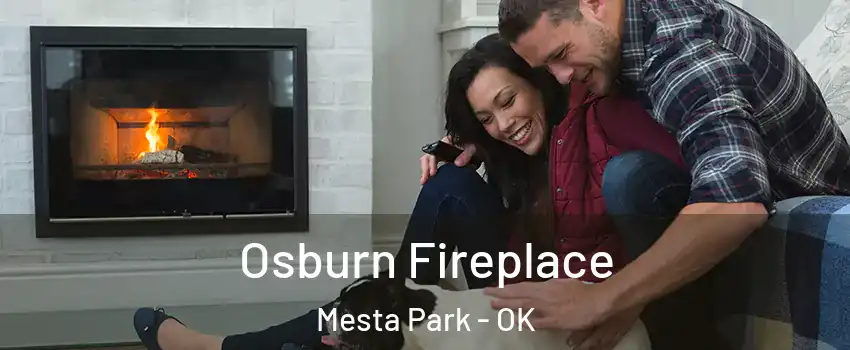Osburn Fireplace Mesta Park - OK