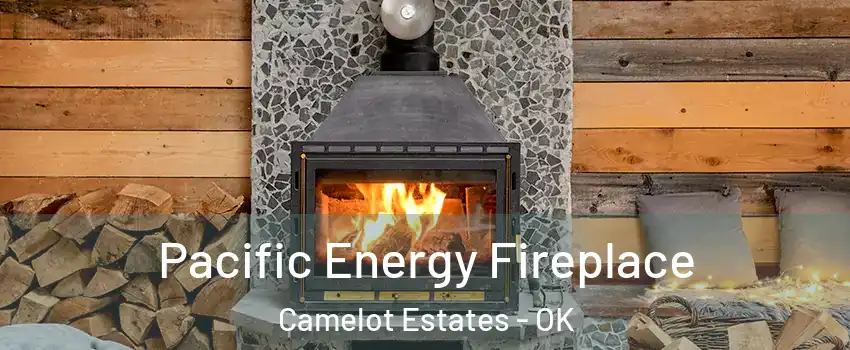 Pacific Energy Fireplace Camelot Estates - OK