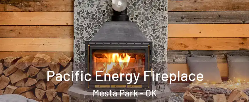 Pacific Energy Fireplace Mesta Park - OK