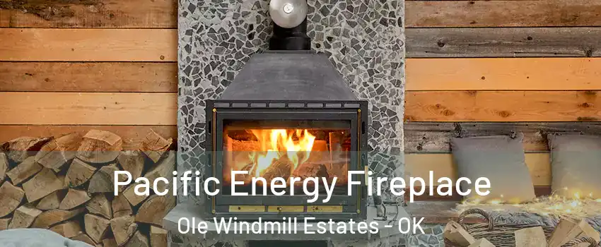 Pacific Energy Fireplace Ole Windmill Estates - OK