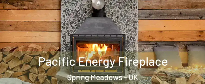 Pacific Energy Fireplace Spring Meadows - OK