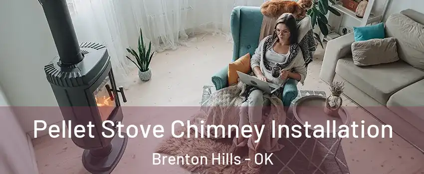 Pellet Stove Chimney Installation Brenton Hills - OK