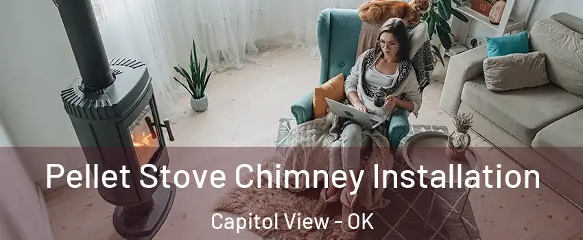 Pellet Stove Chimney Installation Capitol View - OK