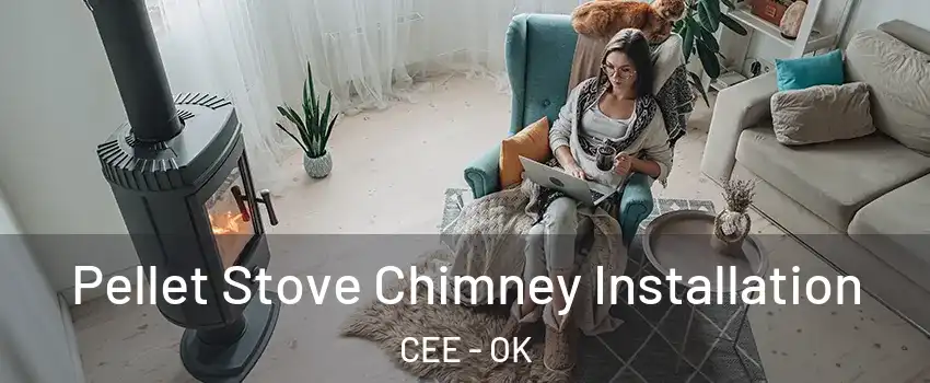 Pellet Stove Chimney Installation CEE - OK