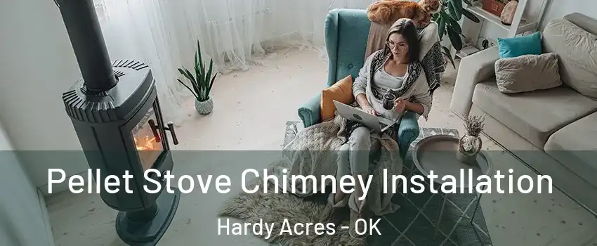 Pellet Stove Chimney Installation Hardy Acres - OK