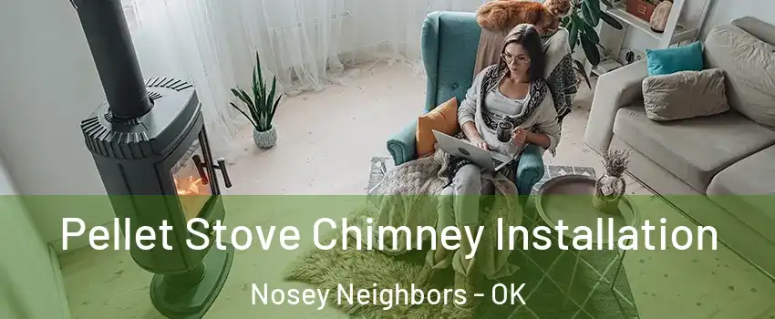 Pellet Stove Chimney Installation Nosey Neighbors - OK