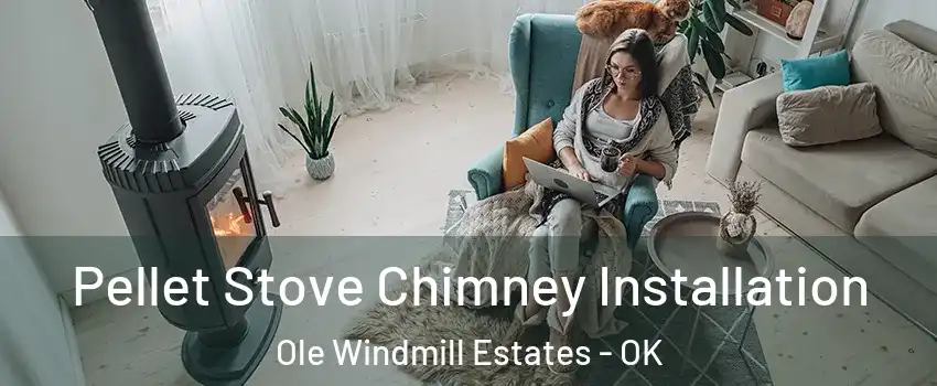 Pellet Stove Chimney Installation Ole Windmill Estates - OK