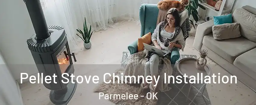 Pellet Stove Chimney Installation Parmelee - OK