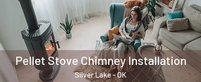 Pellet Stove Chimney Installation Silver Lake - OK
