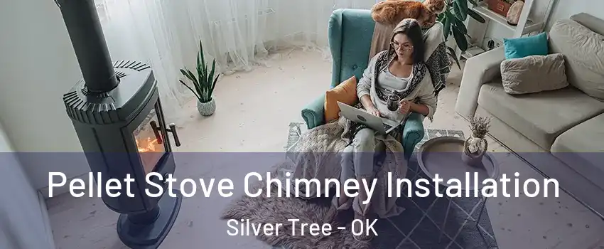 Pellet Stove Chimney Installation Silver Tree - OK