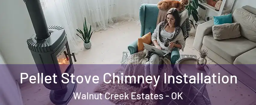 Pellet Stove Chimney Installation Walnut Creek Estates - OK