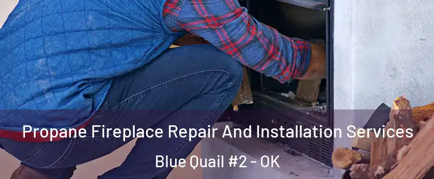 Propane Fireplace Repair And Installation Services Blue Quail #2 - OK