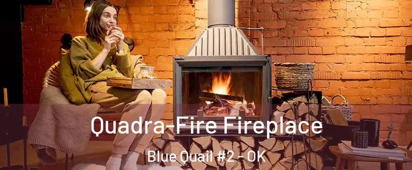 Quadra-Fire Fireplace Blue Quail #2 - OK