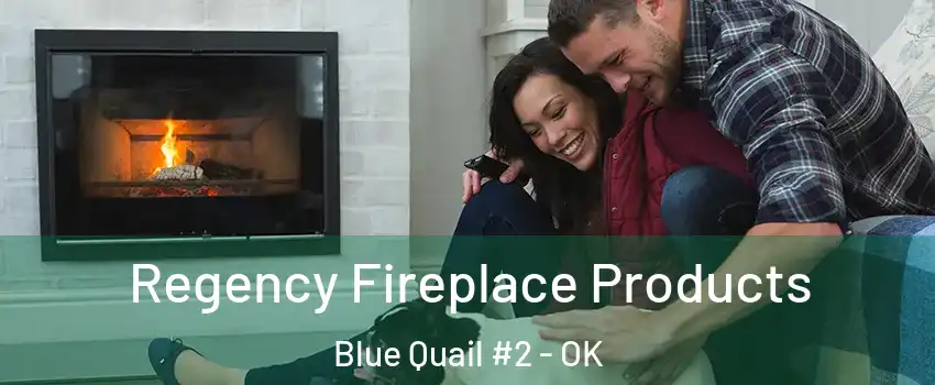 Regency Fireplace Products Blue Quail #2 - OK